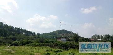 八公山新闻爆料视频,揭秘最新爆料视频背后的真相